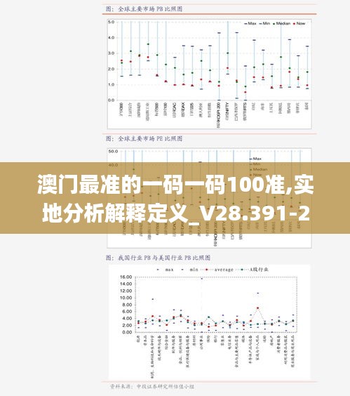 澳门最准的一码一码100准,实地分析解释定义_V28.391-2