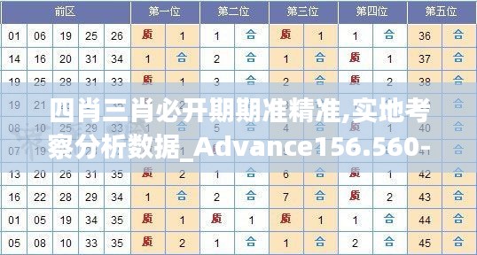 四肖三肖必开期期准精准,实地考察分析数据_Advance156.560-4