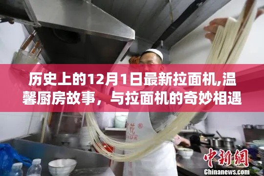 鸡飞狗跳 第4页