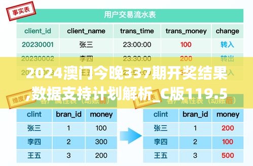 2024澳门今晚337期开奖结果,数据支持计划解析_C版119.595-2