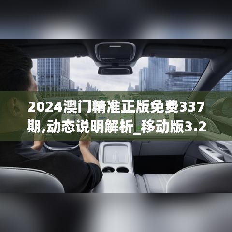 2024澳门精准正版免费337期,动态说明解析_移动版3.232-5