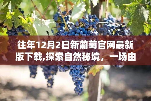 容光焕发 第4页