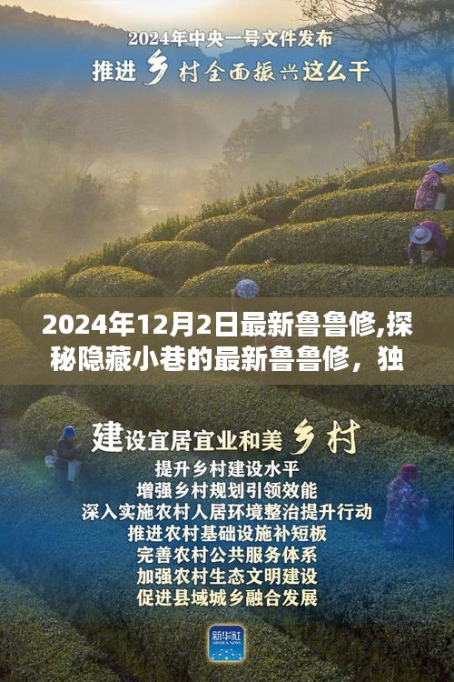 探秘隐藏小巷的独特鲁鲁修，最新环境与揭秘之旅（2024年12月2日）