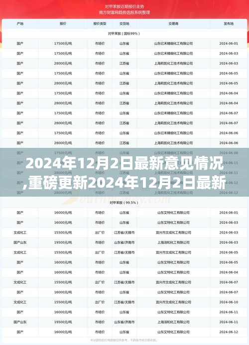 2024年12月2日最新意见情况,重磅更新2024年12月2日最新意见洞察，小红书社区热议新动态