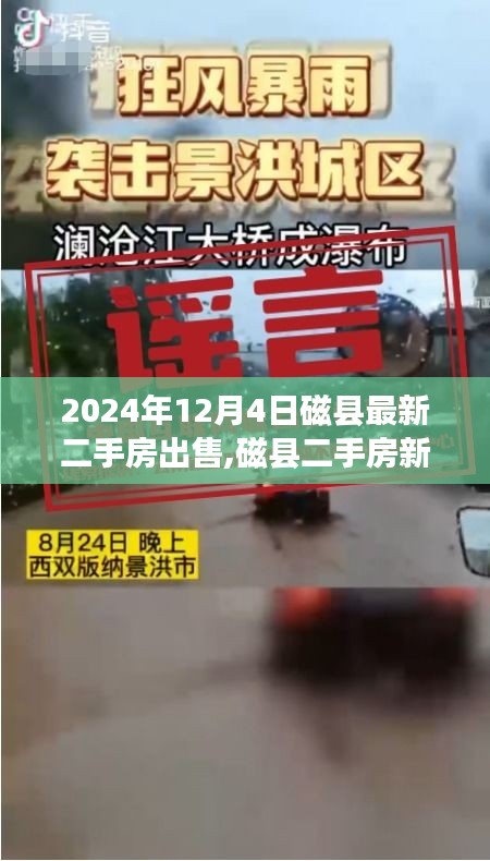 飞瀑流泉 第4页