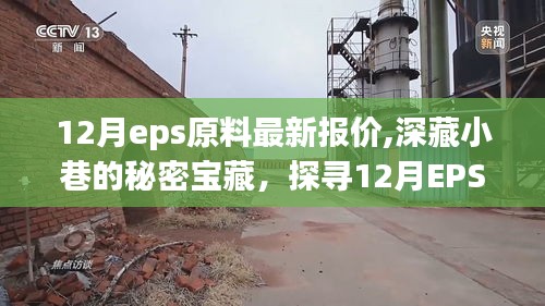 探寻深藏小巷的秘密宝藏，揭秘12月EPS原料最新报价的独特风情