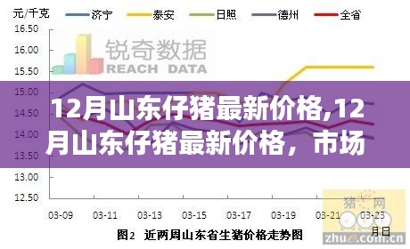 火伞高张 第4页
