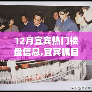 矢志不渝 第4页