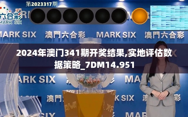 2024年澳门341期开奖结果,实地评估数据策略_7DM14.951