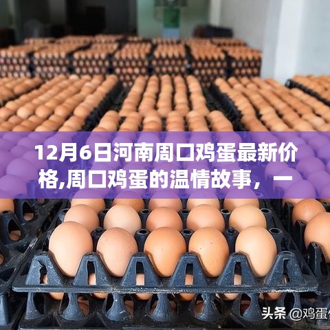 春雨贵如油 第4页