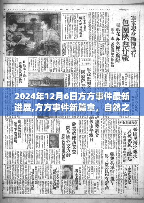 赤鸟夹日 第4页