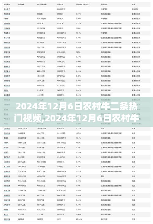 2024年12月6日农村牛二条热门视频，传统与现代交融的乡村魅力