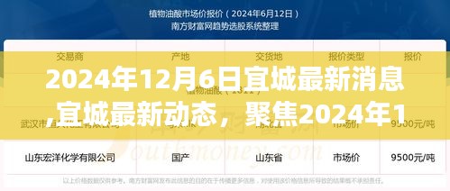 林下风气 第5页
