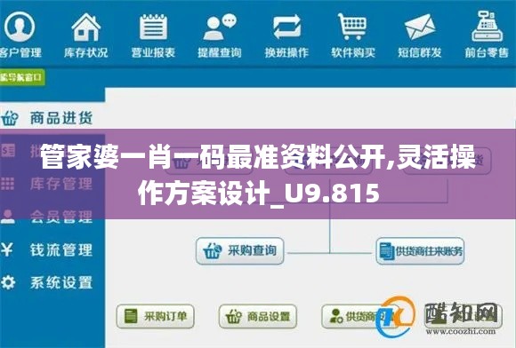管家婆一肖一码最准资料公开,灵活操作方案设计_U9.815