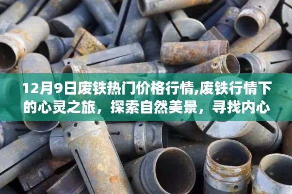废铁行情下的心灵之旅，探索自然美景与内心平静之道（12月9日废铁热门价格行情回顾）