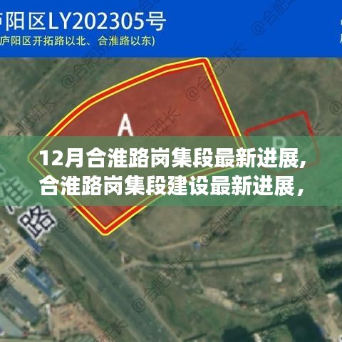 犯而不校 第4页