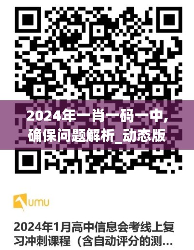 2024年一肖一码一中,确保问题解析_动态版8.206