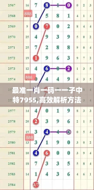 最准一肖一码一一子中特7955,高效解析方法_XR19.953