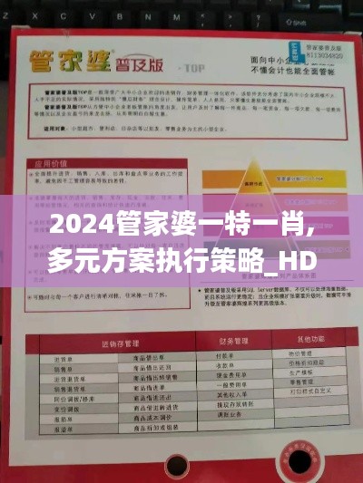 2024管家婆一特一肖,多元方案执行策略_HDR版10.145