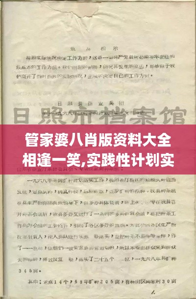 管家婆八肖版资料大全相逢一笑,实践性计划实施_Mixed2.333