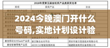 2024今晚澳门开什么号码,实地计划设计验证_纪念版2.237