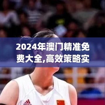 2024年澳门精准免费大全,高效策略实施_KP5.557