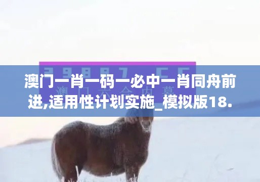 澳门一肖一码一必中一肖同舟前进,适用性计划实施_模拟版18.754
