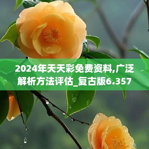 屦贱踊贵 第3页
