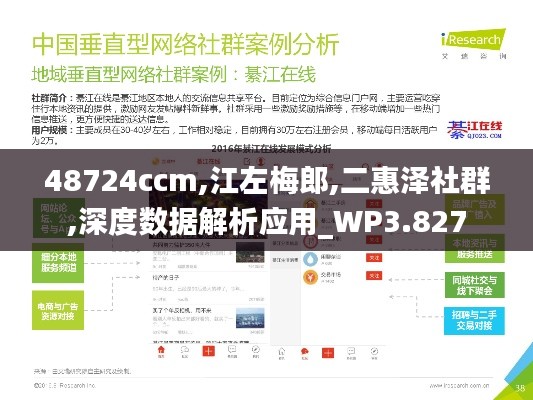 48724ccm,江左梅郎,二惠泽社群,深度数据解析应用_WP3.827