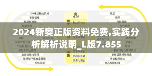 2024新奥正版资料免费,实践分析解析说明_L版7.855
