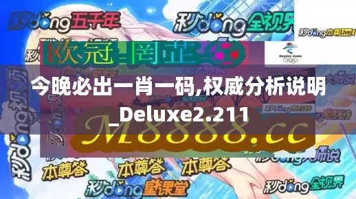 今晚必出一肖一码,权威分析说明_Deluxe2.211