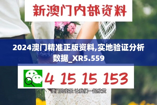 2024澳门精准正版资料,实地验证分析数据_XR5.559