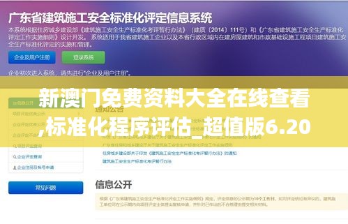 新澳门免费资料大全在线查看,标准化程序评估_超值版6.205