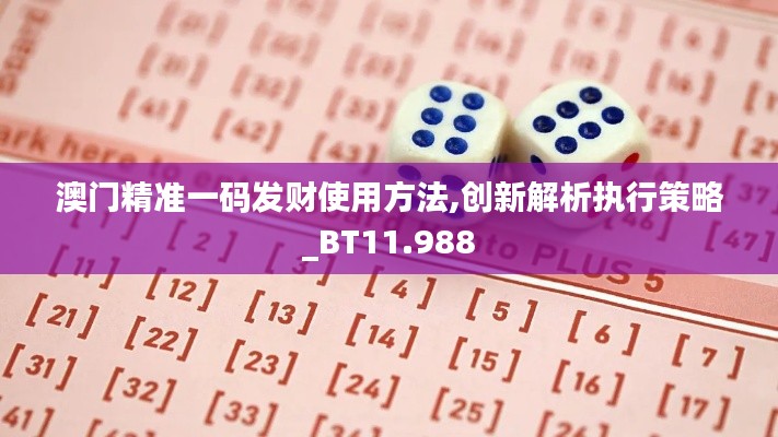澳门精准一码发财使用方法,创新解析执行策略_BT11.988