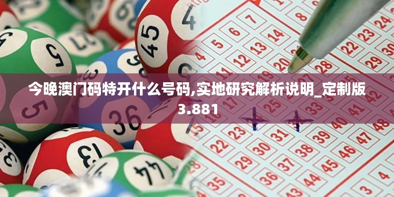 今晚澳门码特开什么号码,实地研究解析说明_定制版3.881