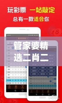 管家婆精选二肖二码,快速响应计划分析_Console6.894