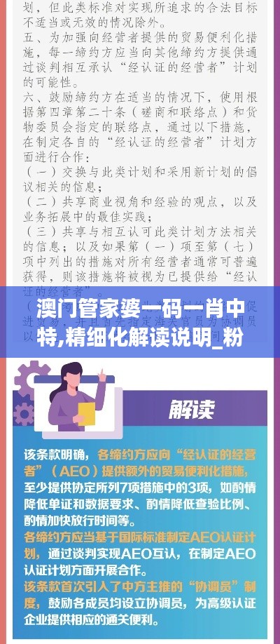 澳门管家婆一码一肖中特,精细化解读说明_粉丝款5.336