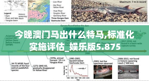 今晚澳门马出什么特马,标准化实施评估_娱乐版5.875