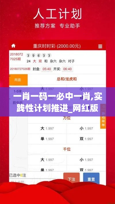 一肖一码一必中一肖,实践性计划推进_网红版9.294