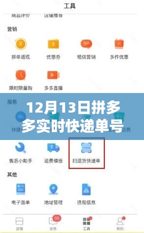拼多多智能快递查询系统，实时追踪科技引领新生活