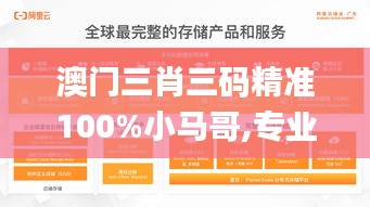 澳门三肖三码精准100%小马哥,专业数据解释定义_Premium2.649