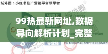 99热最新网址,数据导向解析计划_完整版9.172