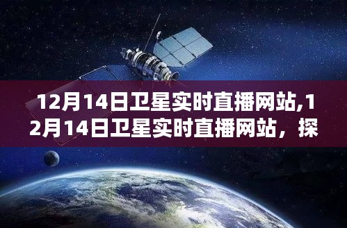 一花独放 第3页