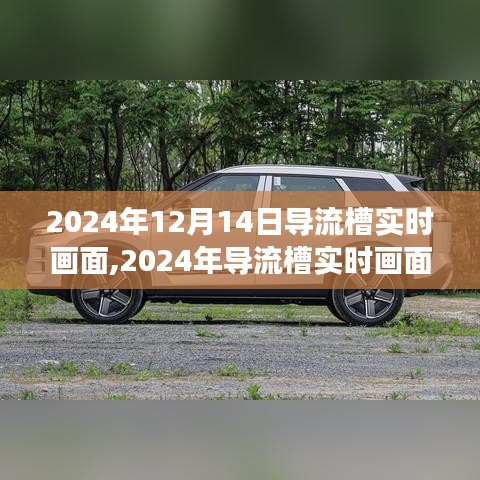 仙风道骨 第3页