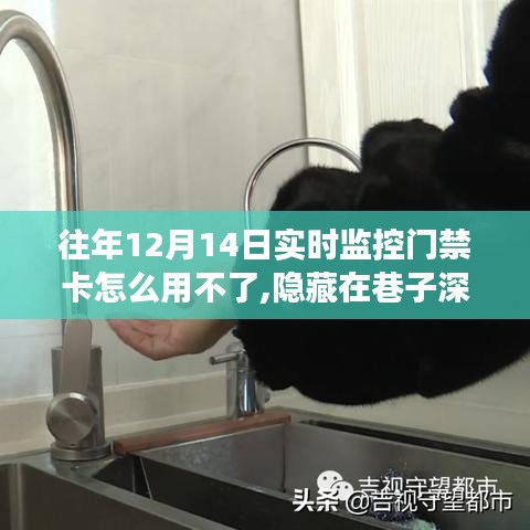 彬彬有礼 第4页