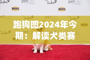 朴实无华 第3页