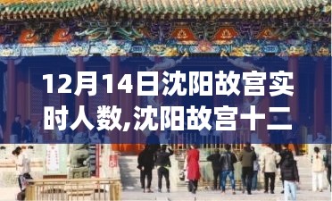 鸟哭猿啼 第3页