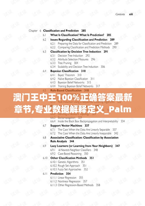 澳门王中王100%正确答案最新章节,专业数据解释定义_PalmOS15.961