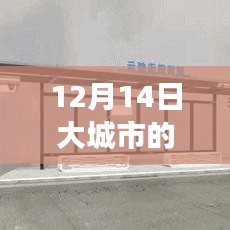 斫琱为朴 第3页