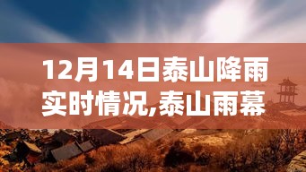 展现